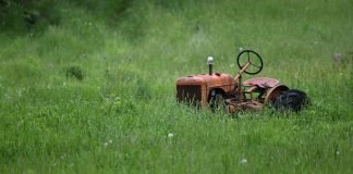 Tips-to-Recycle-Your-Old-Lawn-Mowers-Right-Away-on-passionarticles