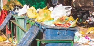 Dumpster-Squad-Joining-Forces-to-Conquer-Waste-Management-Challenges-on-passionarticles