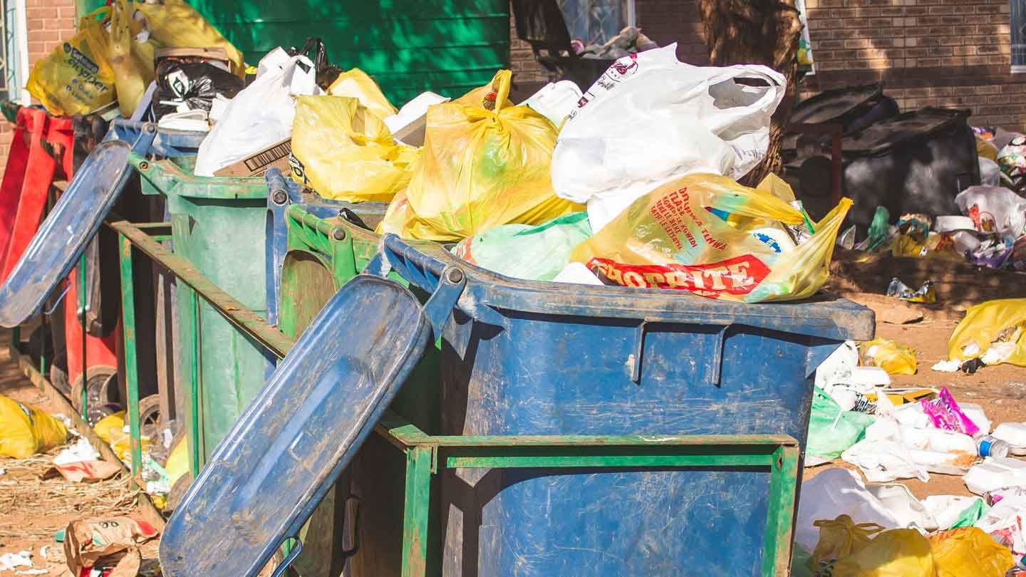 Dumpster Squad: Joining Forces to Conquer Waste Management Challenges