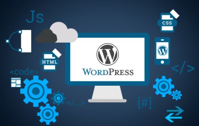 best wordpress web developer