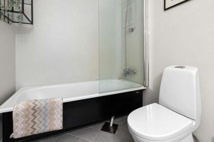 What Bathroom Remodel Walk In Tub Projects Deliver In Comfort on passionarticles