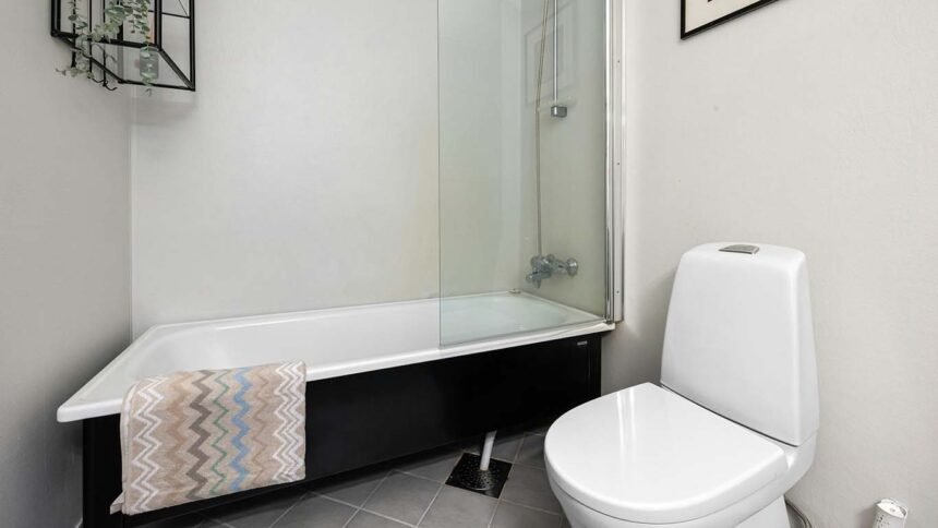 What Bathroom Remodel Walk In Tub Projects Deliver In Comfort on passionarticles